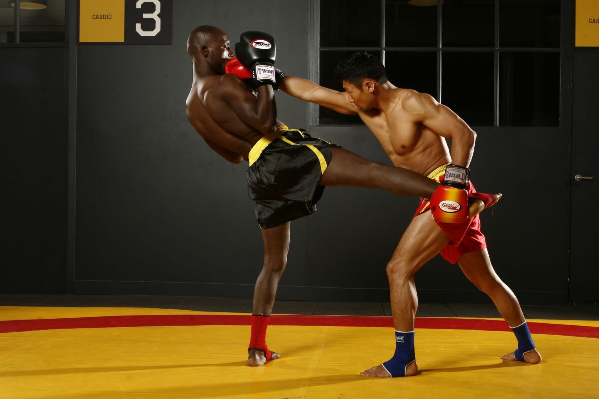 street fighter nouvelle peut apprendre spectateur
